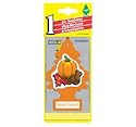 Car Freshner 10504 Little Trees Air Freshener Spiced Pumpkin Scent - Single Tree per Package