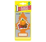 Air Freshener - Spiced Pumpkin - 24 Pack