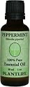 Peppermint 100% Pure Essential Oil - 30 ml