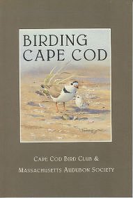 Birding