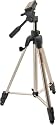 Sunpak 620-060 6601UT Tripod with Extra Quick-Release Mounting Plate