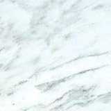 CARRERA MARBLE 12X12 VENATO HONED TILE