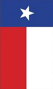 Texas State Garden Size Applique Flag