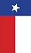 Texas State Garden Size Applique Flag