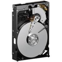City Travel Guides Discounted  PC Hardware : Western Digital Caviar SE WD1600AAJB-KIT WD 160GB 3,5 Zoll Festplatte intern PATA 7200RPM 8MB