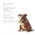 Elgar: Violin Concerto/Vaughan Williams: Lark ascending