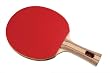 Halex 58242 Fusion 1.0 Pro Series Table Tennis Paddle with Cover