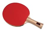 Halex 1.0 Pro Series Bronze Tyhphoon Table Tennis Paddle - B0009VCASU