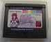  : NEW Gal Fighters game for Neo Geo Pocket Color NeoGeo