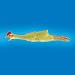 RUBBER CHICKEN