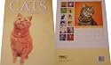 Cats Calendar 2007