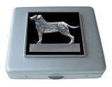 Black Labrador Retriever Vitamin Mirror Case