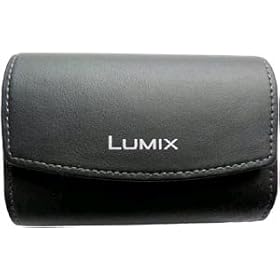 Panasonic DMW-PSS13KK Leather Case for FS Series