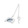 Grizzly H3105 Clamp Style Magnifying Lamp