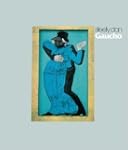 Gaucho (DVD Audio)