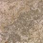 Porcellana Di Rocca Tile - Glazed Porcelain Tile Jillian Tile SAMPLE FOR: 6X6 Noce Tile
