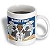 Editorial Cartoon with Barack Obama as Fading Star - 15oz Mug