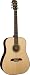 Alvarez RD010  Regent Series Dreadnought Acoustic Guitar