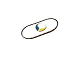 Produkt-Bild: CONTITECH CONTI&reg;-SF Keilriemen AVX10X950 / 10x950 / 9,5x950 / f&uuml;r z.B. AUDI AUSTIN BMW CHRYSLER CITRO&Euml;N DAIHATSU FIAT HONDA MERCEDES-BENZ MG MORRIS NISSAN OPEL PORSCHE RENAULT SEAT SKODA TRIUMPH VAUXHALL VOLVO VW