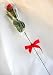 Long-Stemmed Red-Foiled Truffle Roses in Sleeves & Bows, Case of 36