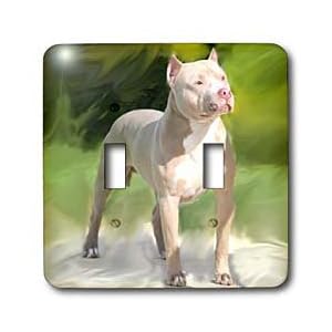 Dogs Pitbull American Terrier Switch
