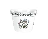 Portmeirion Botanic Garden Flower Pot