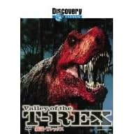 �f�B�X�J�o���[�`�����l�� �V���ET-���b�N�X [DVD]