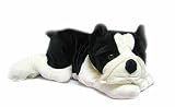 Plush Floppy Boston Terrier 18