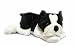 boston terrier - Plush Floppy Boston Terrier 18