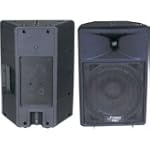 PYLE PPHP1290 800 Watt 12-Inch Two Way Plastic Molded Loudspeaker