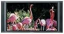 Pioneer PDP-505CMX 50-inch HD Plasma Display