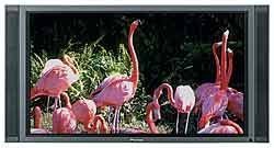 Pioneer PDP-505CMX 50Inch HD Plasma Display
