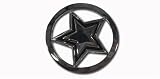 Rock Star BELT BUCKLE by Famous Stars and Straps