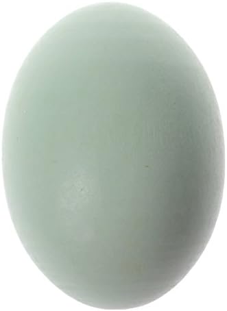 Yeager YE-1 Wooden Faux Fake Eggs, Children Play Kitchen Game Food Toy (Duck Egg)