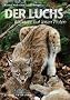 Der Luchs: R�ckkehr auf leisen Pfoten