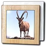 Nubian Goat - 6 Inch Tile Napkin Holder