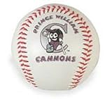 Potomac Cannons Minor League Baseball Fotoball