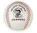 Potomac Cannons Minor League Baseball Fotoball