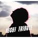 YOSUI TRIBUTE