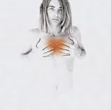 Francis Dunnery lyrics