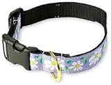 Up Country Daisy Dog Collar - XLarge