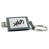 Centon DataStick Keychain MLB Chicago White Sox Edition - USB flash drive - 4 GB - Hi-Speed USB - silver