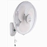 Black & Decker FW1600 Wall Fan 220 Volts For Overseas Only (European Cord, WILL NOT WORK IN USA OR CANADA)