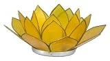 Natural Shell Tea Light Holder Small Lotus - Dark Yellow