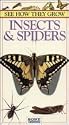 See How They Grow: Insects & Spiders [VHS]