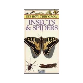 See How They Grow: Insects & Spiders [VHS]