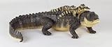 Safari LTD Incredible Creatures Alligator with Babies 31QJ56X2QFL. SL160 Safari LTD Incredible Creatures Alligator with Babies