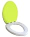 Lime Green Seat Socks