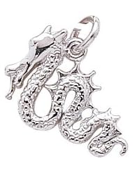 Rembrandt Charms Serpent Charm