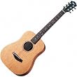 Baby M Acoustic Guitar Mahogany Top Mahogany Top